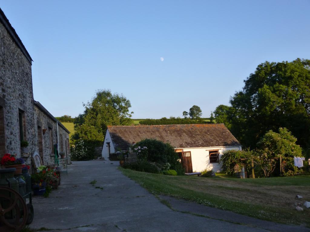 Вилла Nantgwynfaen Organic Farm Wales Llandysul Экстерьер фото