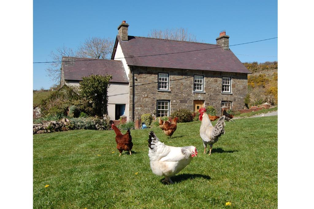 Вилла Nantgwynfaen Organic Farm Wales Llandysul Экстерьер фото